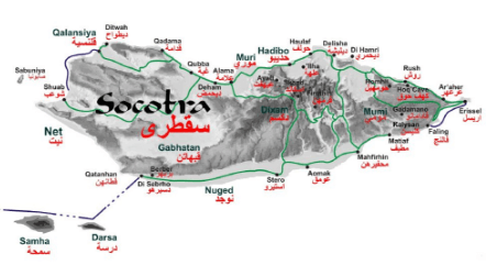 Unforgettable Socotra
